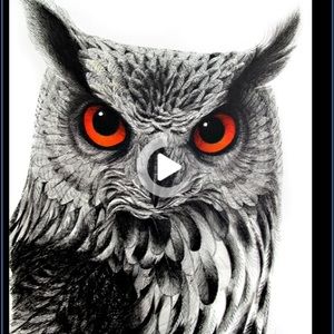 Meet your Posher, Kelley